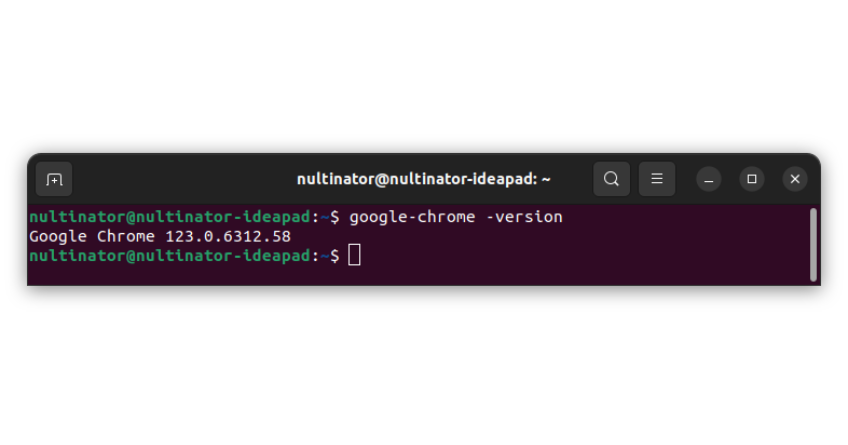 Chrome Version in Terminal