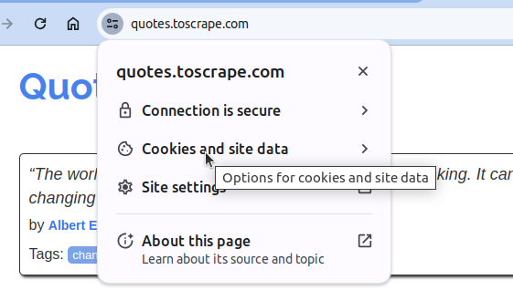 Python Selenium Guide - Cookies and Site Data pop up