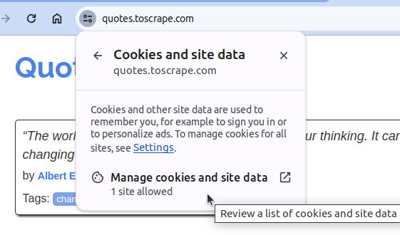 Python Selenium Guide - Manage Cookies and Site Data